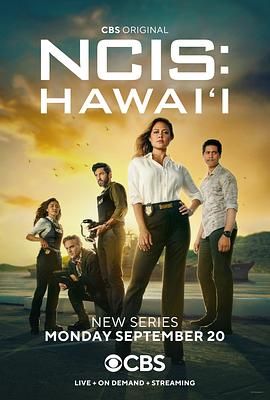 海军罪案调查处：夏威夷 第一季 第18集