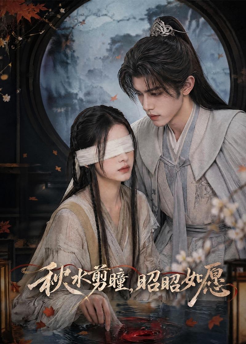 秋水剪瞳，昭昭如愿(全集)