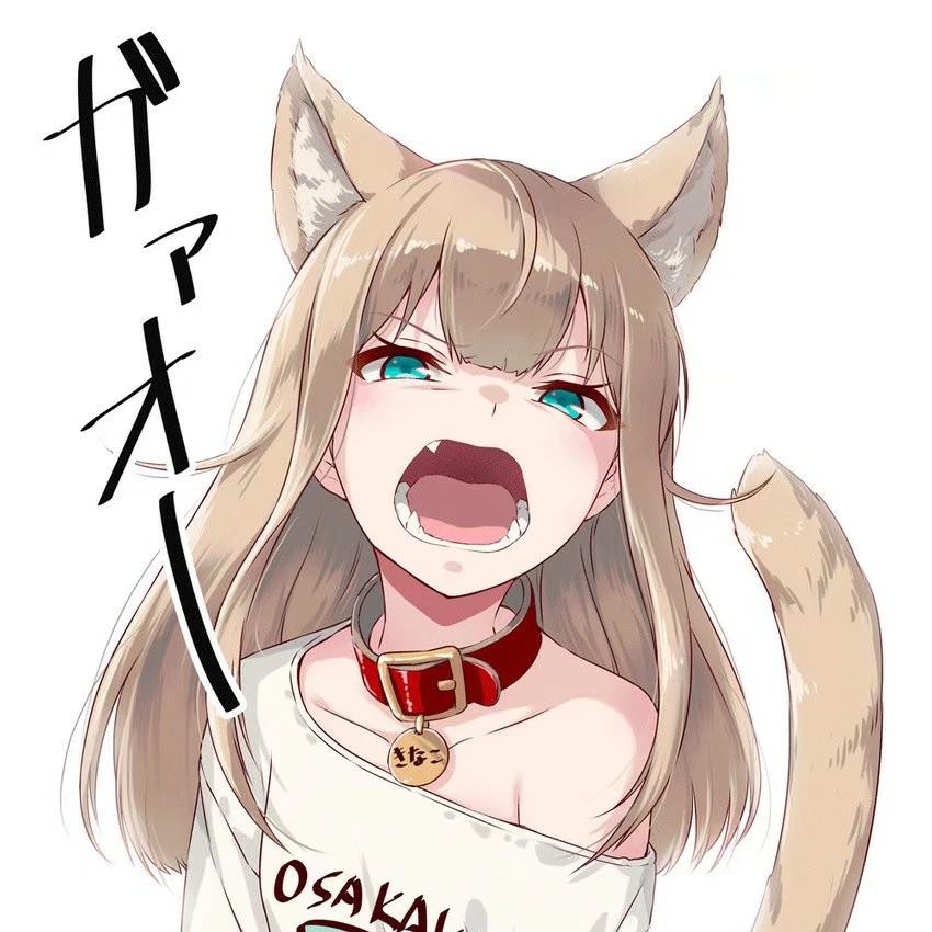 猫物语（白） 第05集