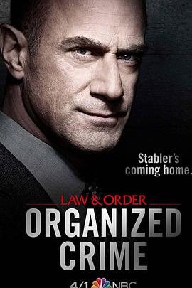 法律与秩序：组织犯罪 第一季 第04集