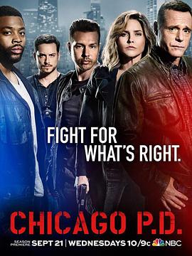 芝加哥警署 第四季 第19集