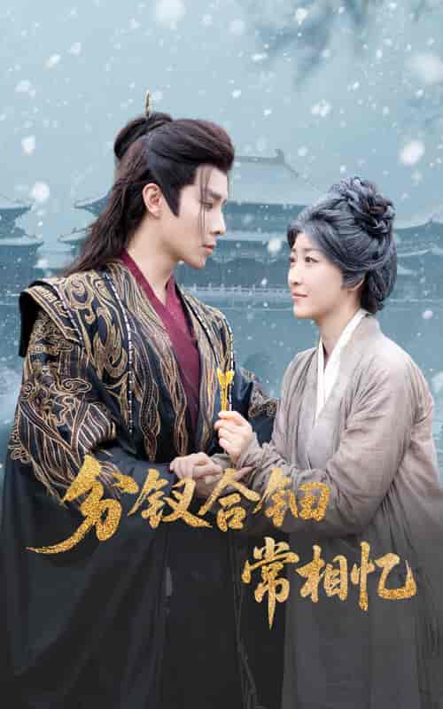 分钗合钿常相忆(全集)