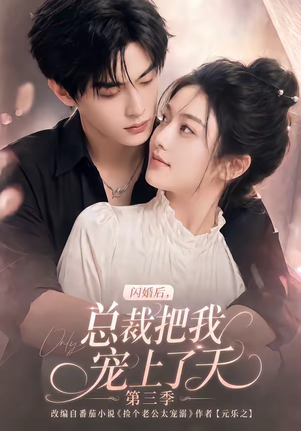 闪婚后,总裁把我宠上了天第三季(全集)
