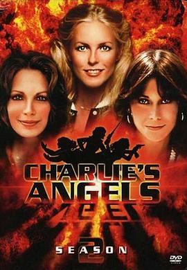 查理的天使霹雳娇娃第二季 第25集