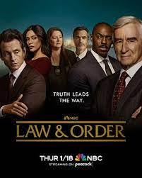 法律与秩序 第二十三季 第6集